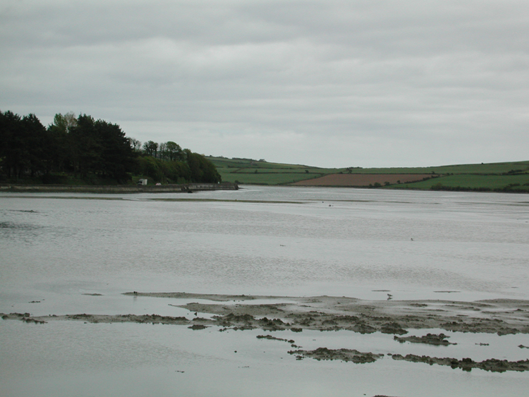 Clonakilty Bay.jpg 291.9K